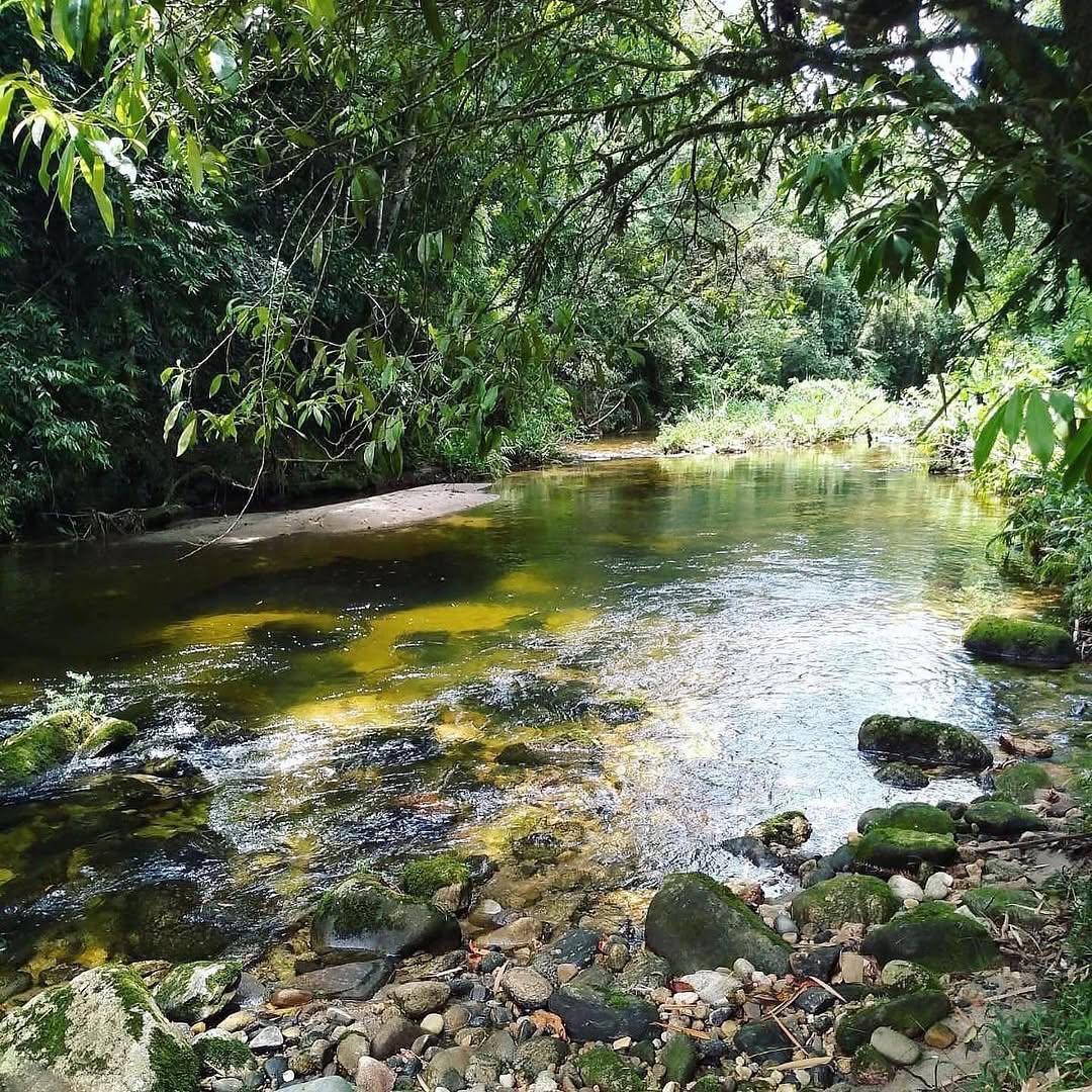 Rio de águas cristalinas serpenteando entre pedras naturais e densa vegetação atlântica, criando remansos perfeitos para banho